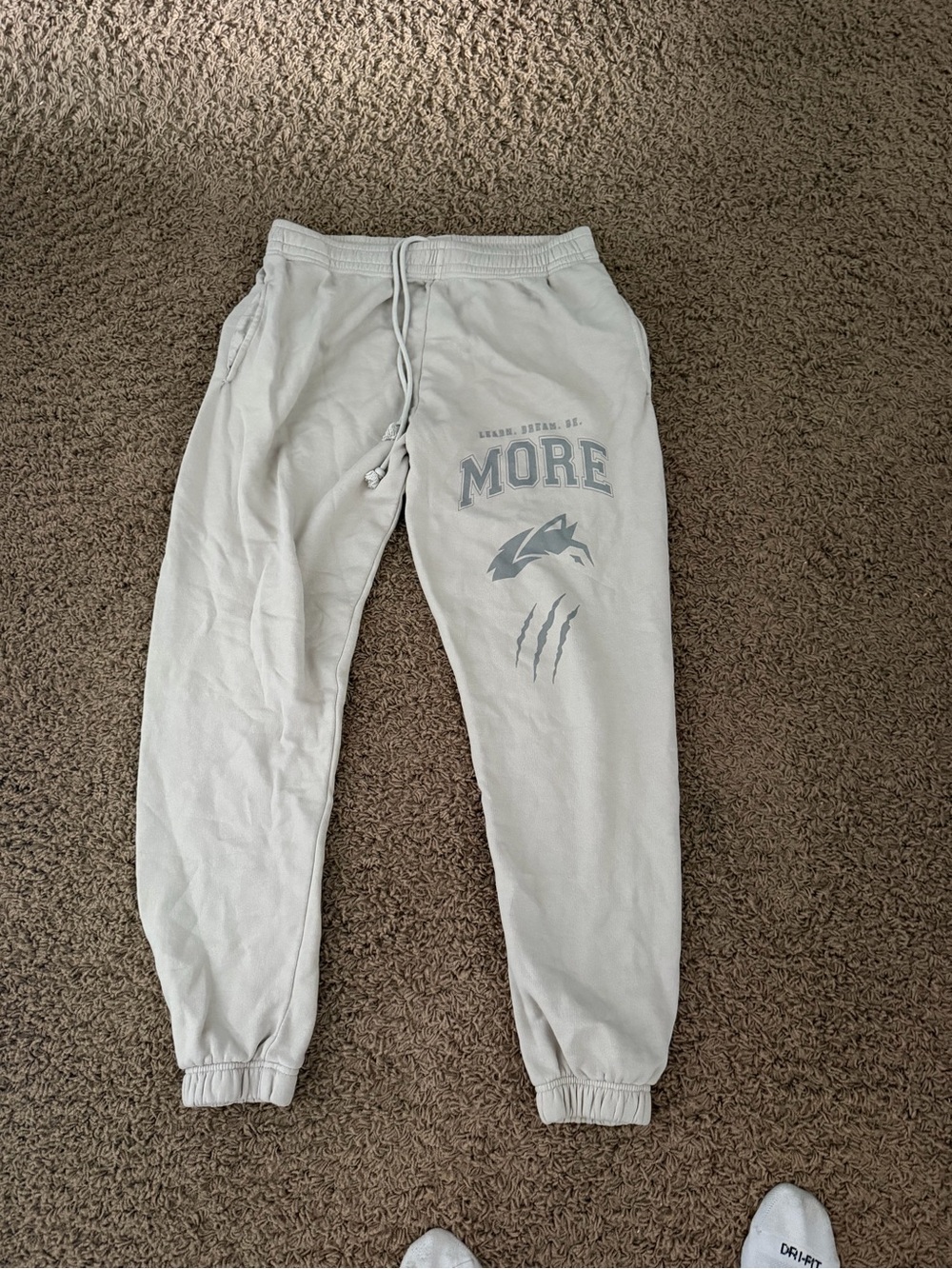 Light Gray Alphalete Joggers with Graphic Print